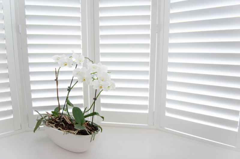 Exterior Shutters Installation in Denver, CO
